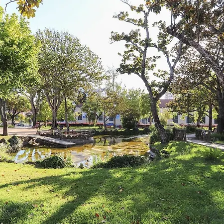 Benfica Iii By Homing Appartement *